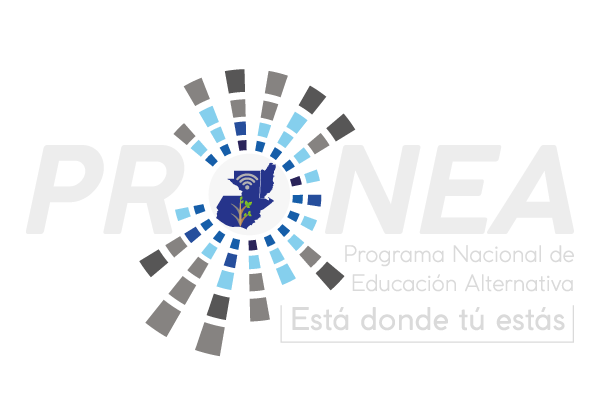 Programa Nacional de Educación Alternativa, PRONEA Home Page